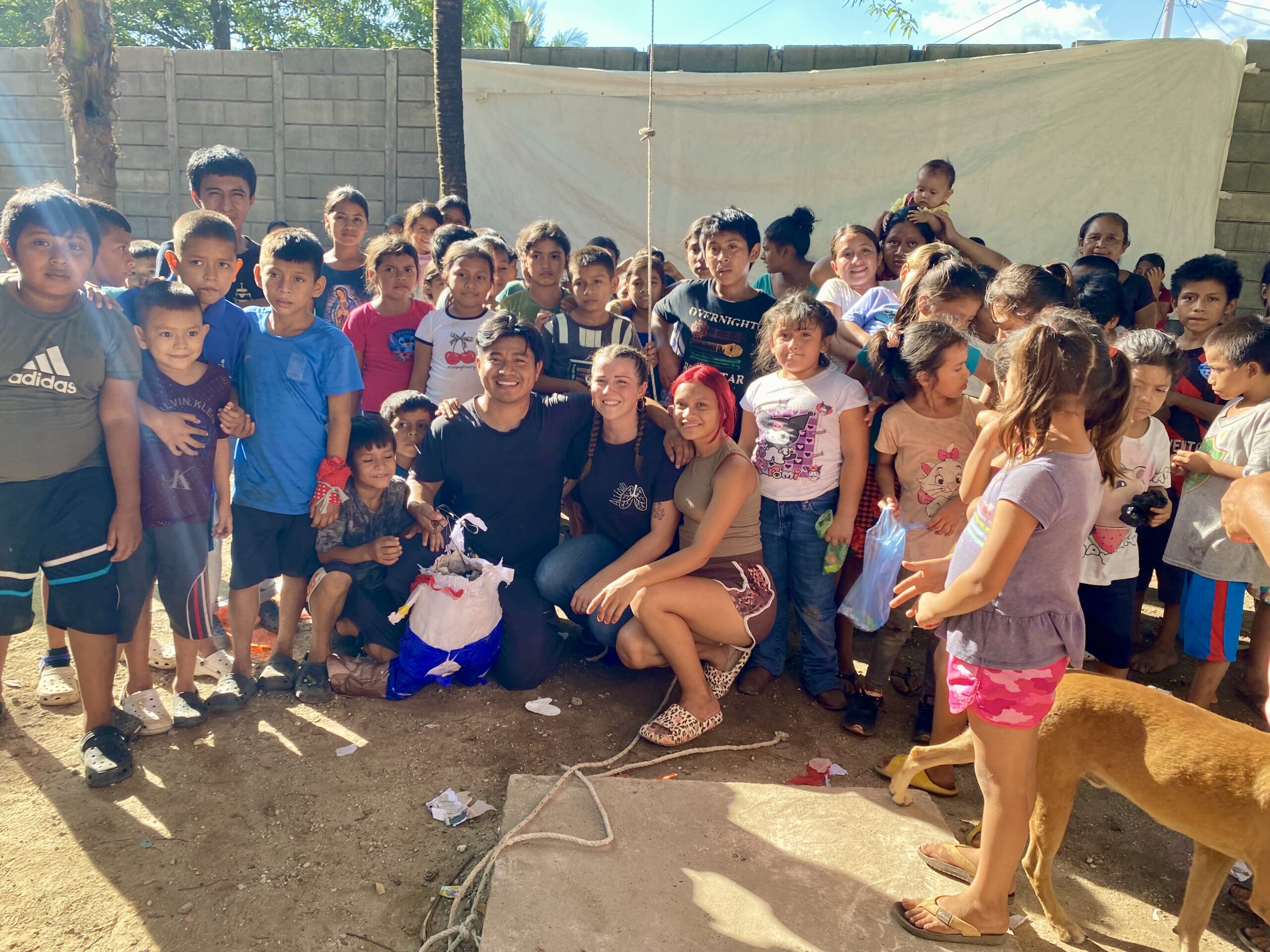 Read more about the article Still Standing, Still Building: December Update