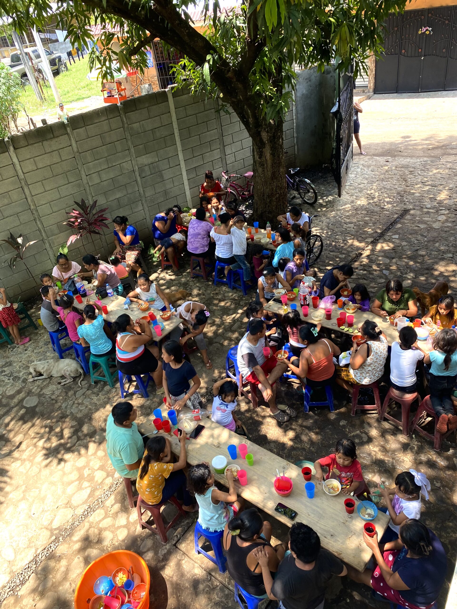 Read more about the article Building, Serving, Growing: July Update